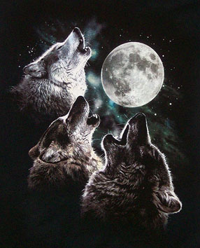 Three Wolf Moon